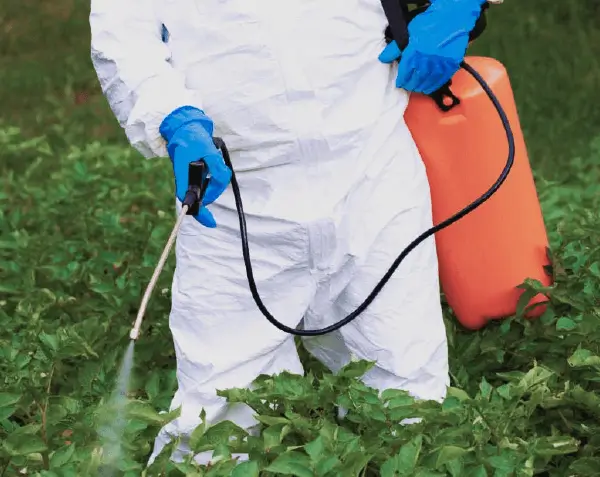 Registro Sanitario de Plaguicidas